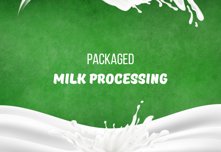 What Really Happens Before Milk Reaches the Packet